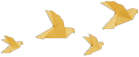 top_bird